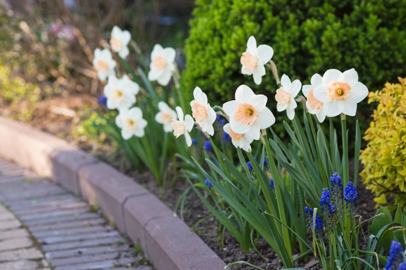 Bordered Paver Patios